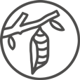 Alba Rosique - logo